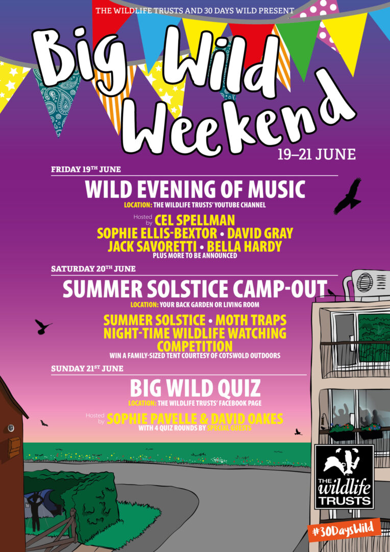 Suffolk Wildlife Trust Big Wild Weekend Promo