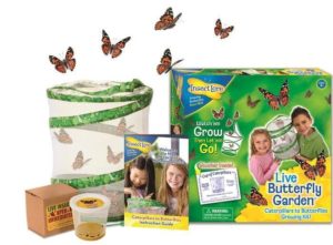 photo of Insect Lore Butterfly Garden kit showing box and contents