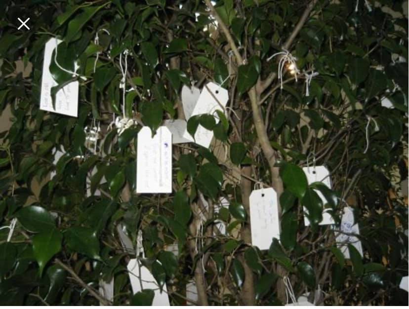 photo showing labels with messages of kindness written on them and hung in a bush or tree