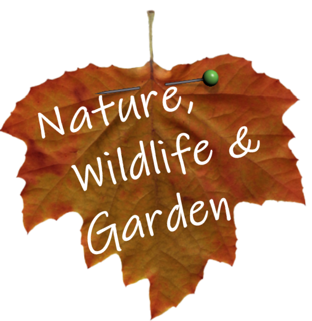 Nature and wildlife garden