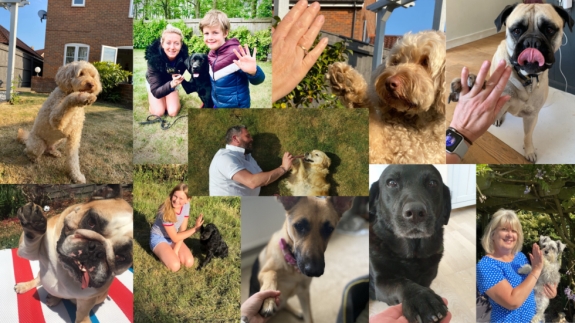 collage of photos of dogs and their owners to promote Suffolk Community Foundation's #Gimme5 appeal