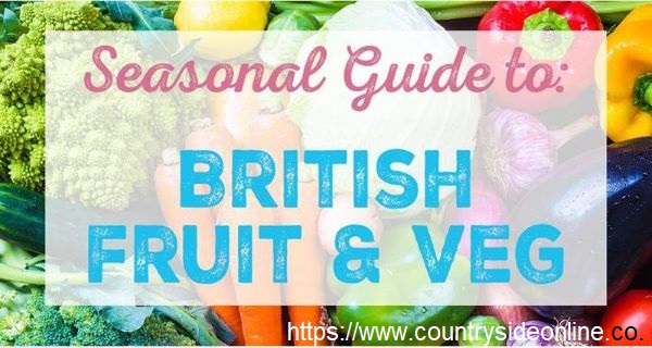 Countryside Seasonal Fruit and veg guide 