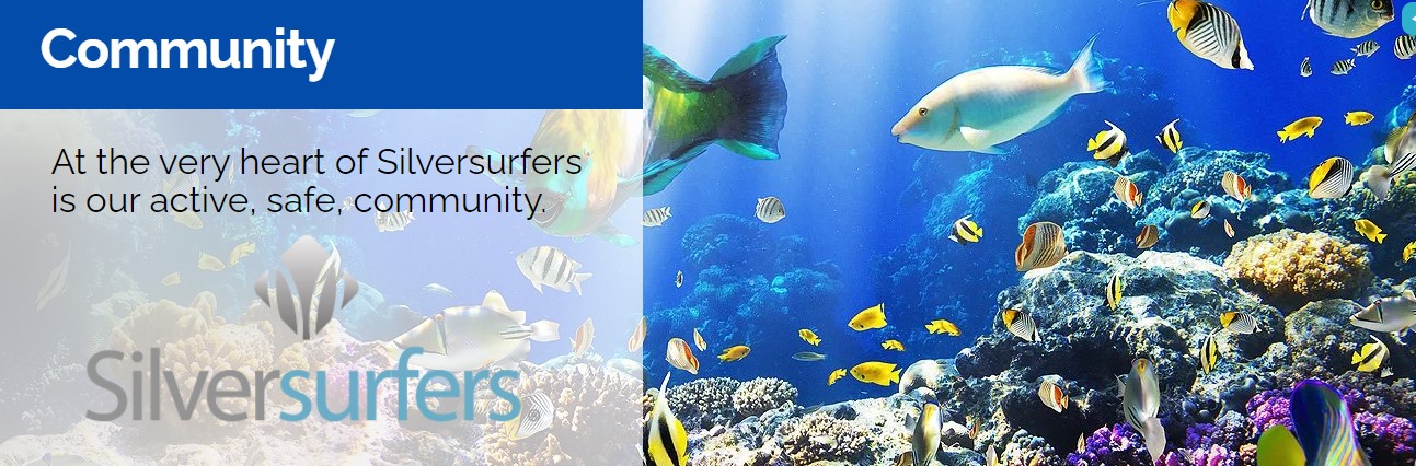 Silver Surfers Community banner