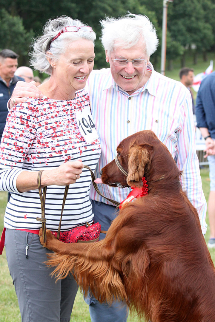 Suffolk Dog Day press photo of red setter dog jumping up at two people standing