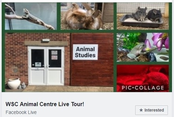 Screengrab showing West Suffolk College's Facebook Live event advert with pictures of the college and small animals